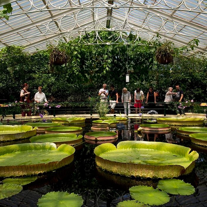 Family Visit to Kew Gardens and Palace for Two Adults and Two Children