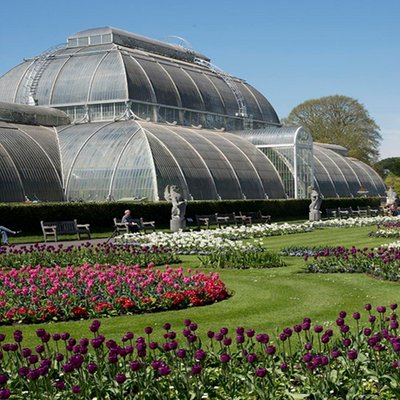 Family Visit to Kew Gardens and Palace for Two Adults and Two Children