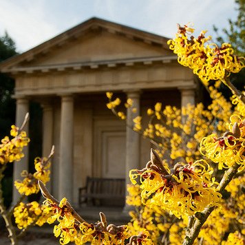 Buyagift Visit To Kew Gardens And Palace