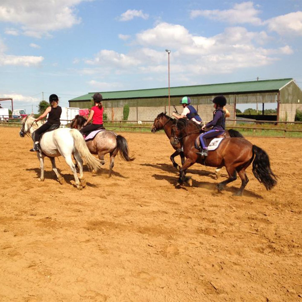 Buyagift One Hour Horse Riding Experience - Uk Wide