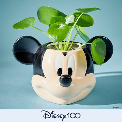 Disney’s Mickey Plant & Mug