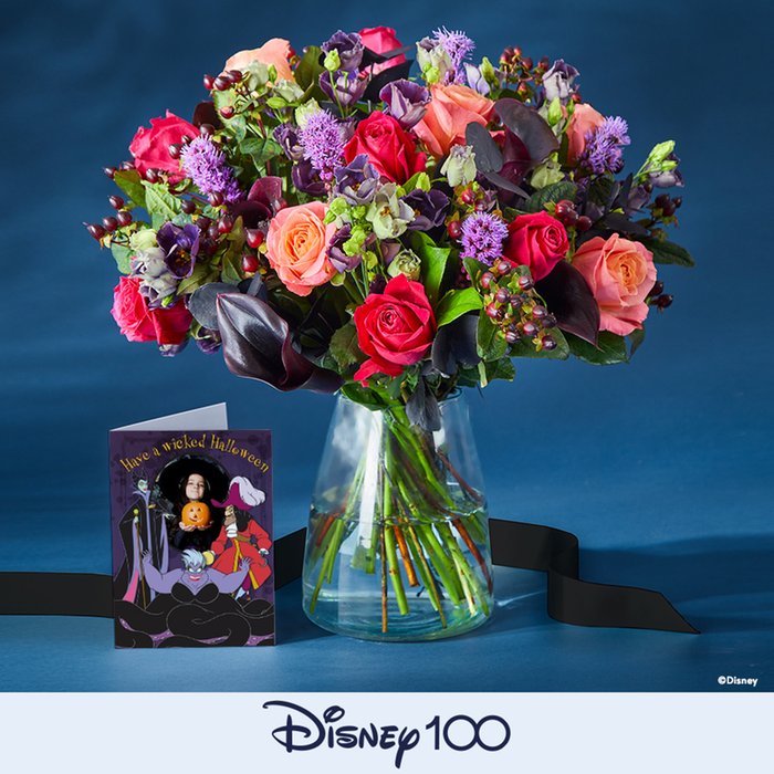 Disney Ultimate Villains