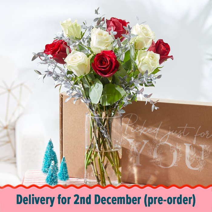 The Letterbox Winter Roses