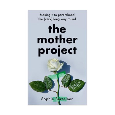 The Mother Project: Making It to Parenthood Book