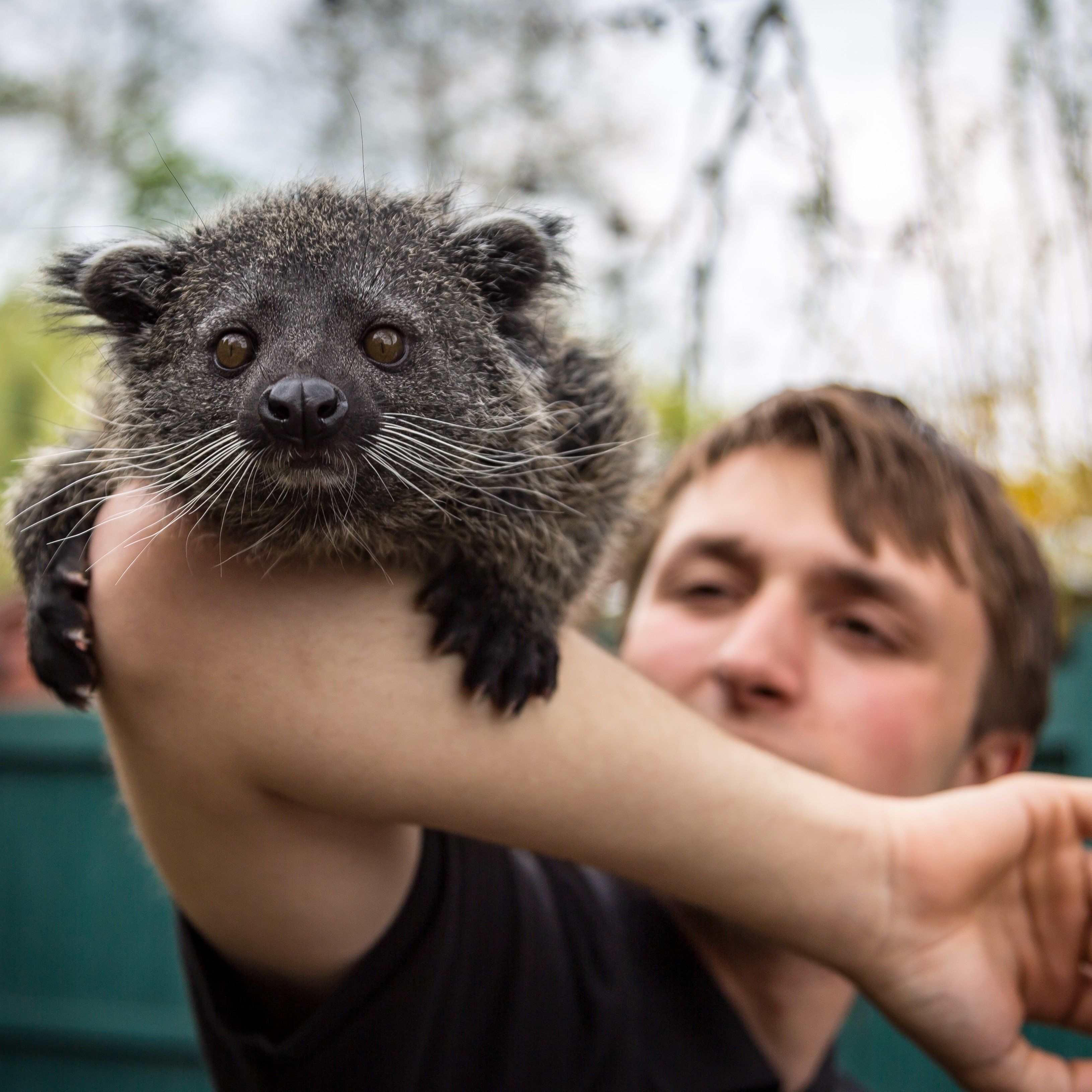 Buy A Gift A Choice Of One Hour Animal Experience For Two At Hoo Farm Animal Kingdom