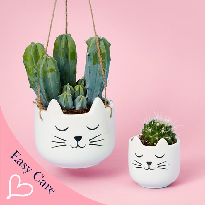Cacti & Cat Planter Duo