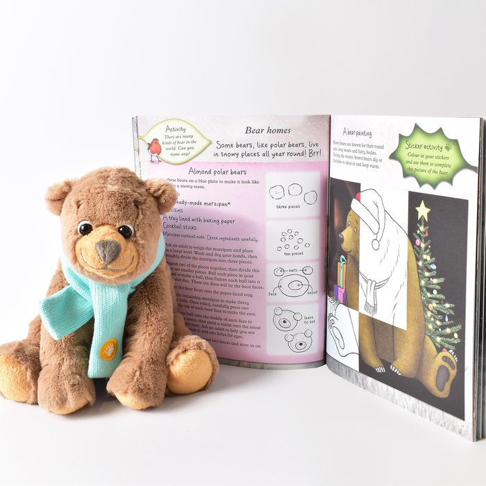 We're Going on a Bear Hunt: Christmas Activity Book & Soft Toy