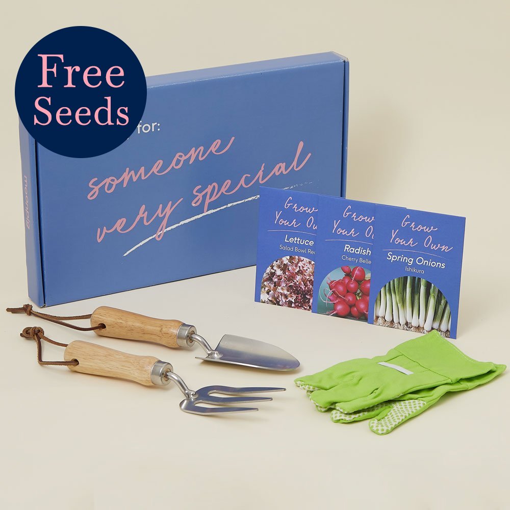 Moonpig Letterbox Kid's Salad Gardener Gift With Tools
