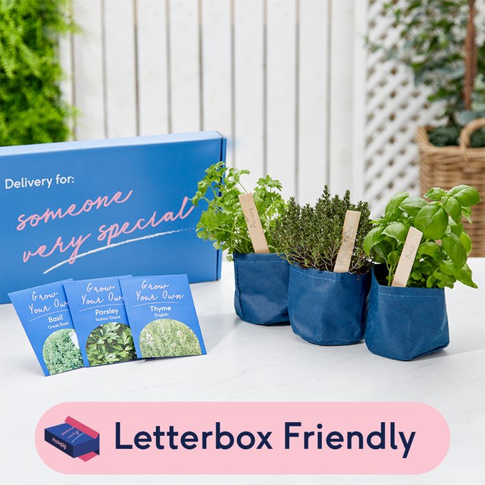 Letterbox Grow Your Own Indoor Herb Gift Set
