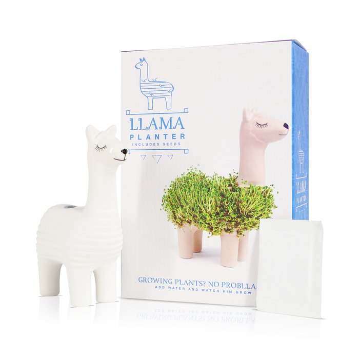 Llama Planter With Seeds