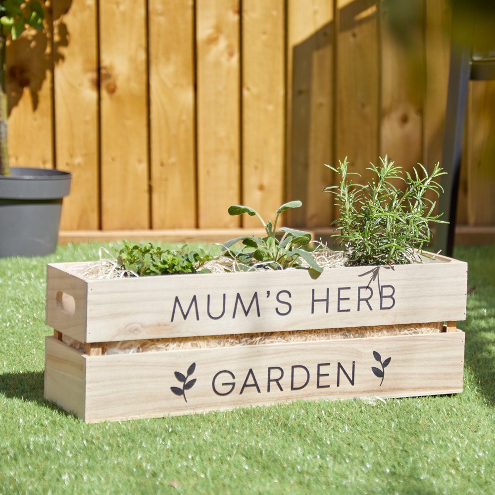 Mums Herb Trio Planter