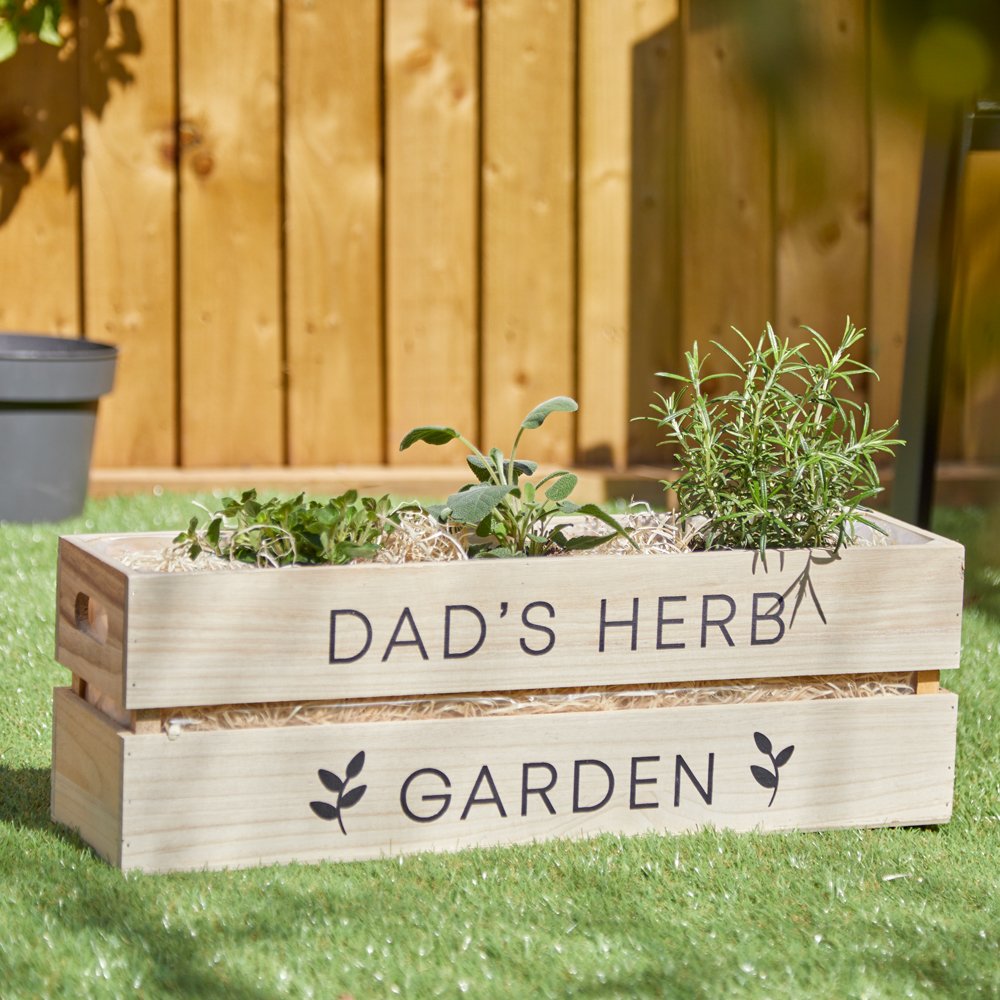 Dad's Herb Trio Planter