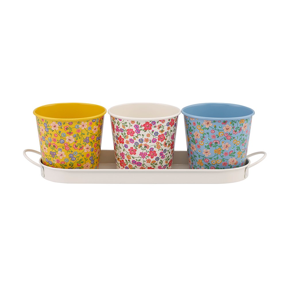 Cath Kidston Indoor Herb Pots Set Of 3