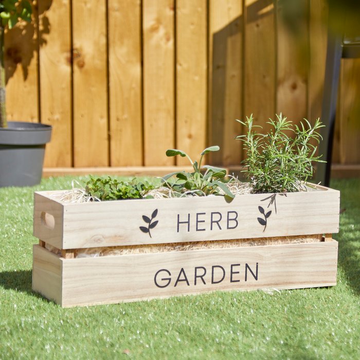 Herb Trio Planter with Plants