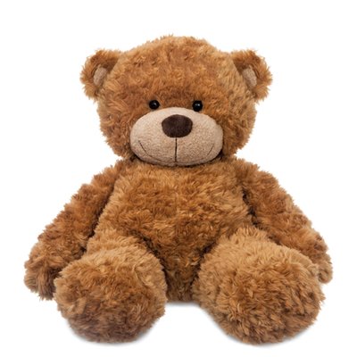 Aurora Bonnie Brown Bear