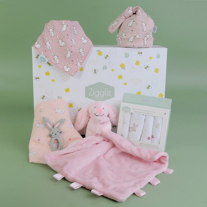 Bunny New Baby Bumper Box by Ziggle