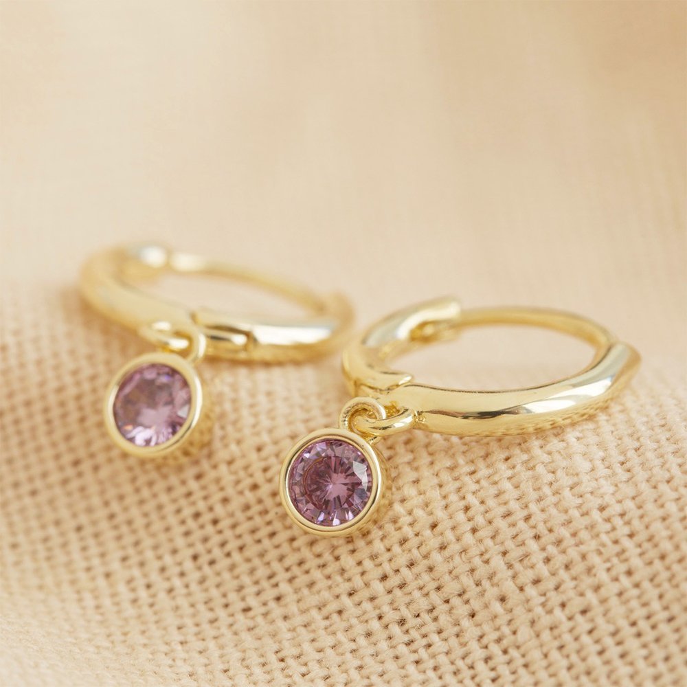 Lisa Angel February Amethyst Birthstone Hoops Earrings