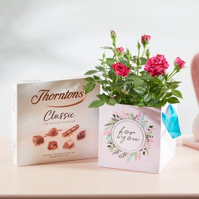 The Rose Plant Gift Bag