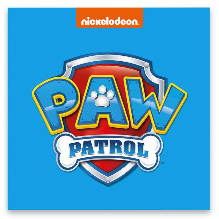 PAW Patrol Big City Adventures Book