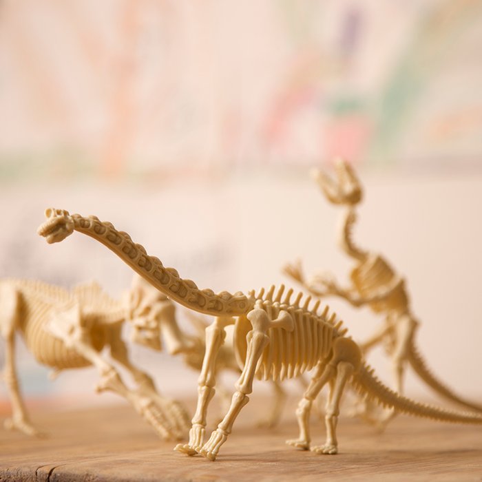 Dig a Dinosaur Skeleton Excavation Kit