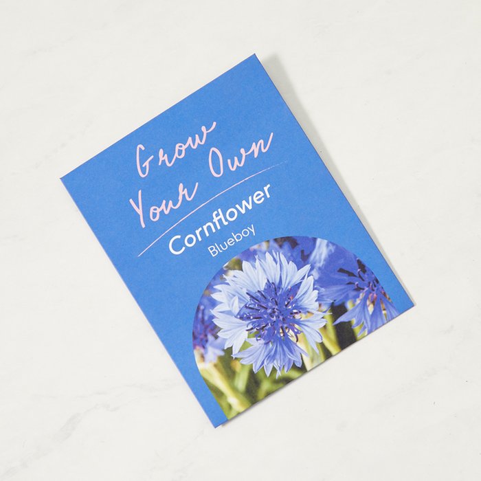 Kids' Cornflower Grower's Gift Set Moonpig