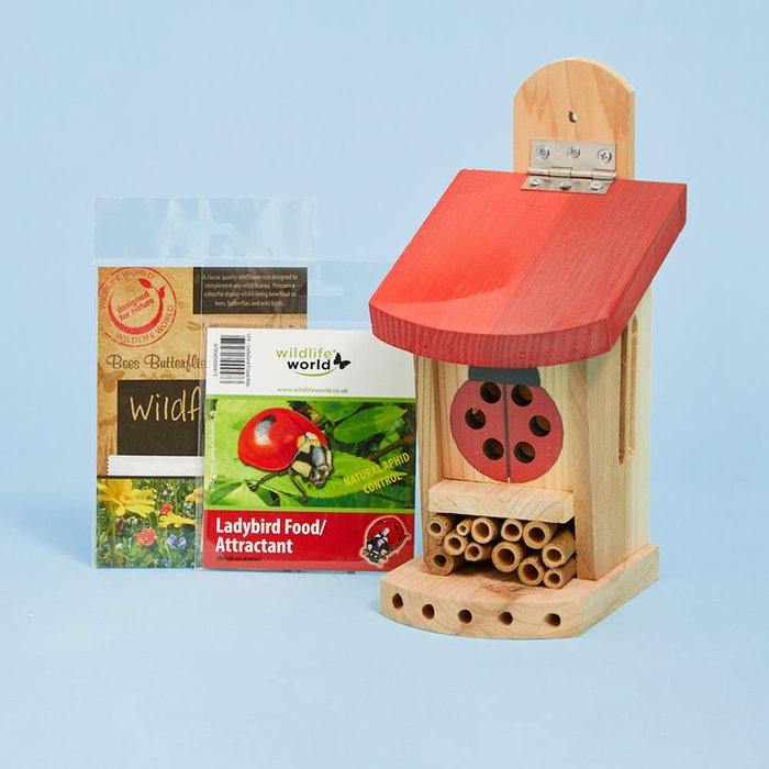 Kids' Ladybird House Gift Set