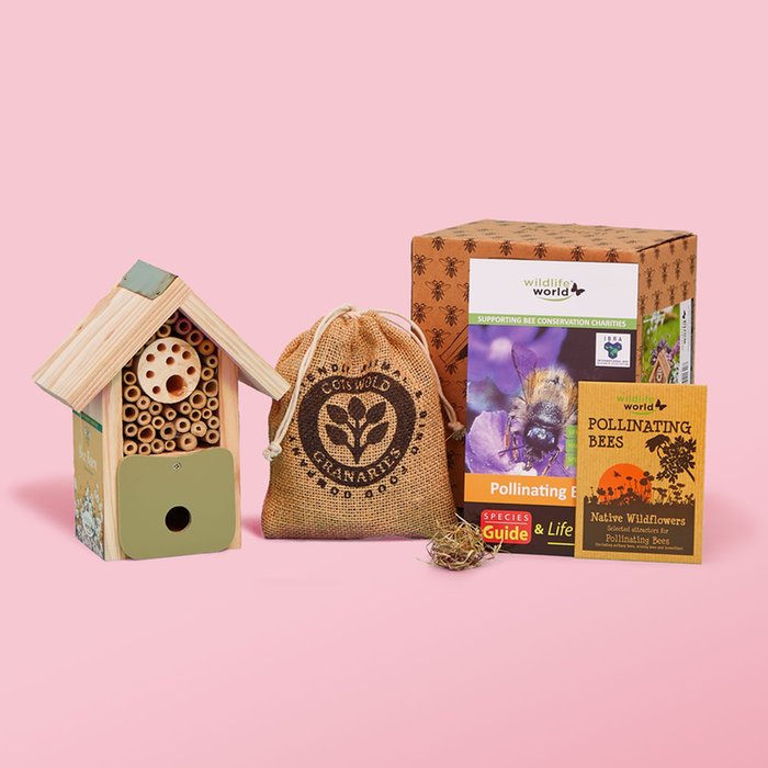 Love of Bees Gift Set