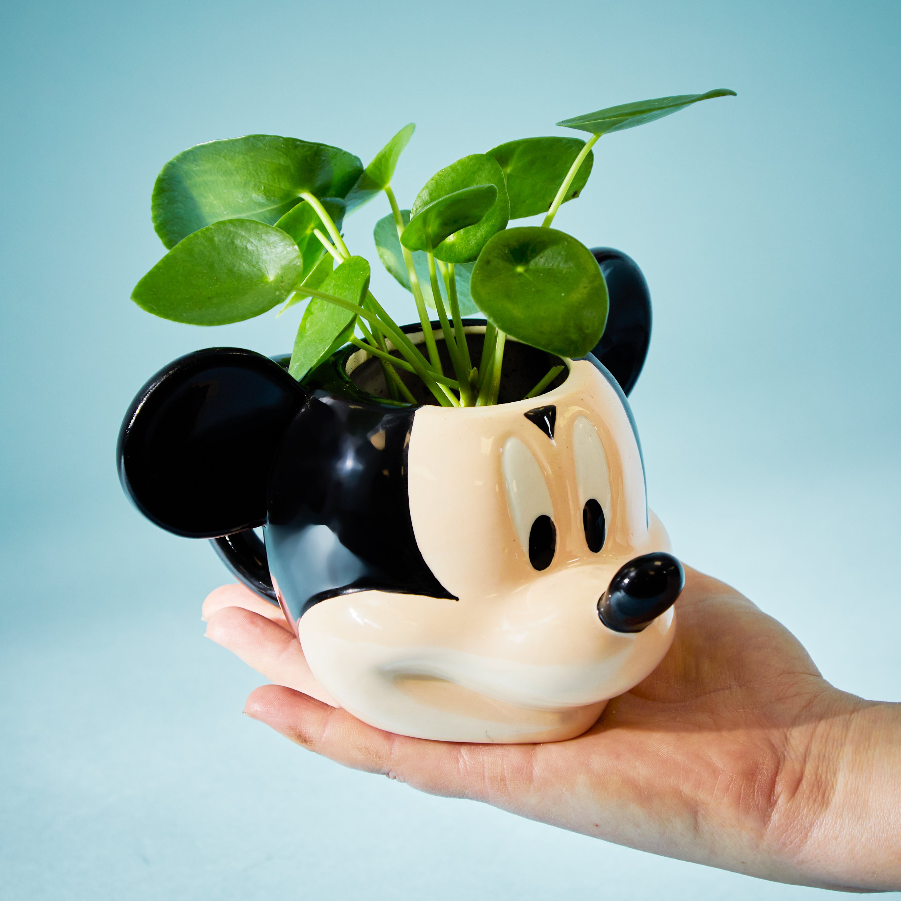 Mickey Mouse Disney'S Mickey Plant & Mug Flowers