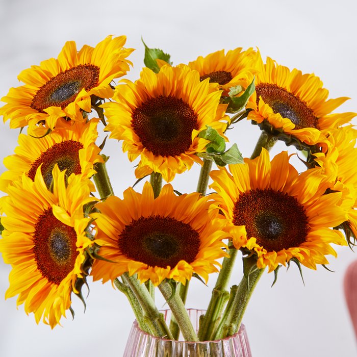 The British Grown Sunflowers Moonpig