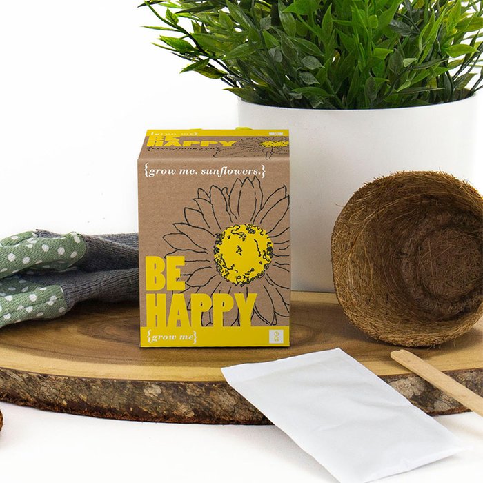 Sunflower Grow Kit