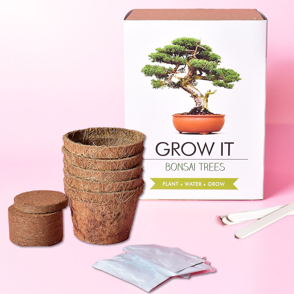 Other Grow It Bonsai Tree Plant