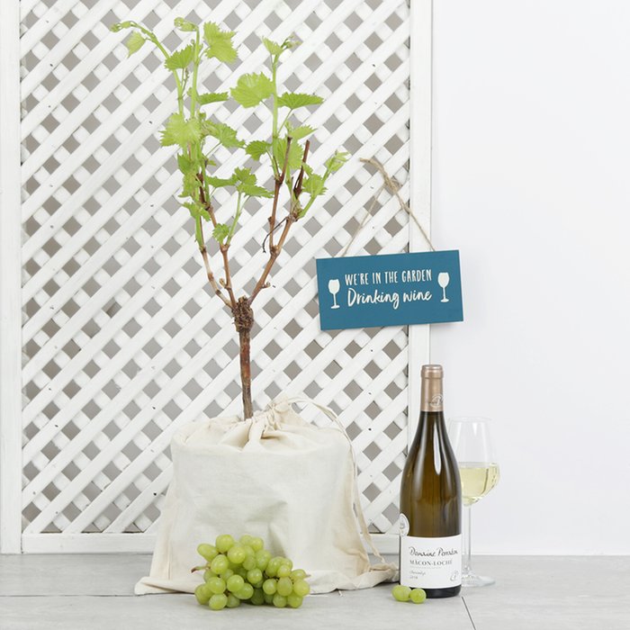 The Grape & White Wine Gift Set