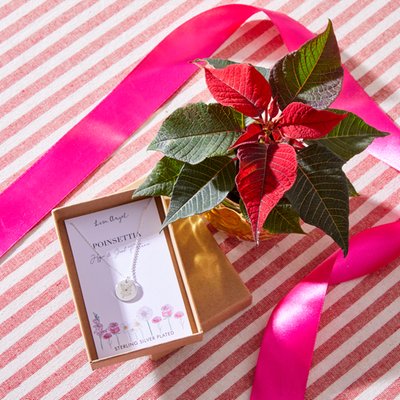 Mini Poinsettia in Gold Pot & Birthflower Necklace