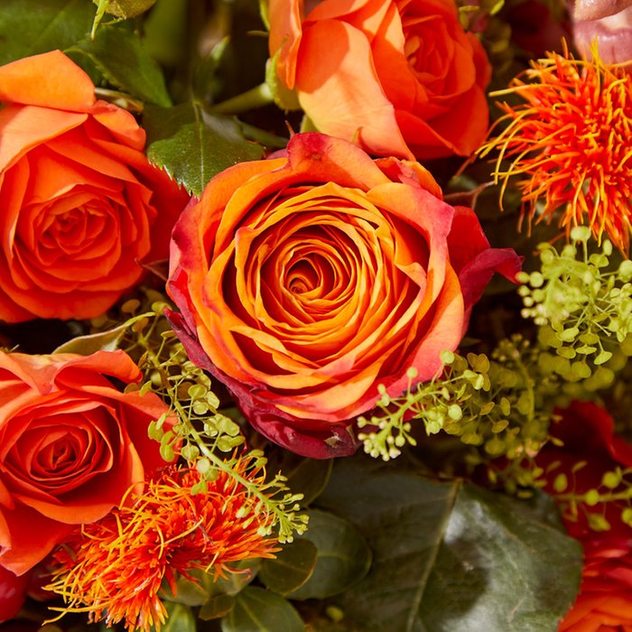 The Fabulous Moonpig