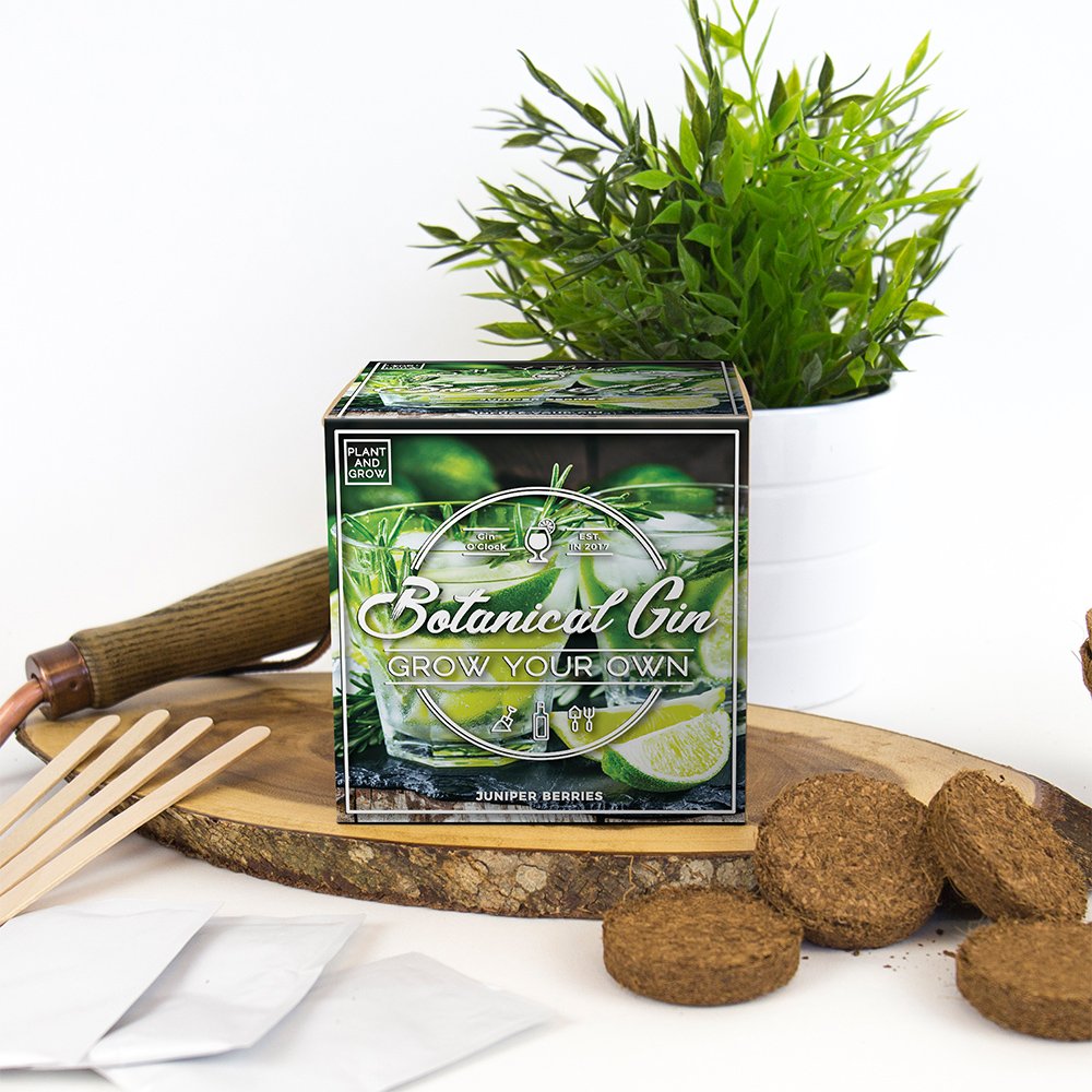 Grow Your Own Botanical Gin Kit