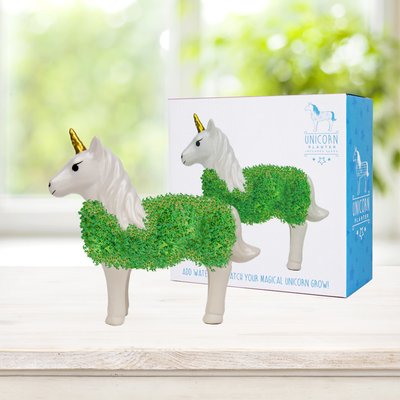 Unicorn Chia Pet