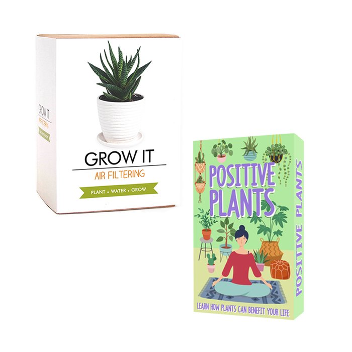 Air Filtering Grow It and Positive Plant Cards