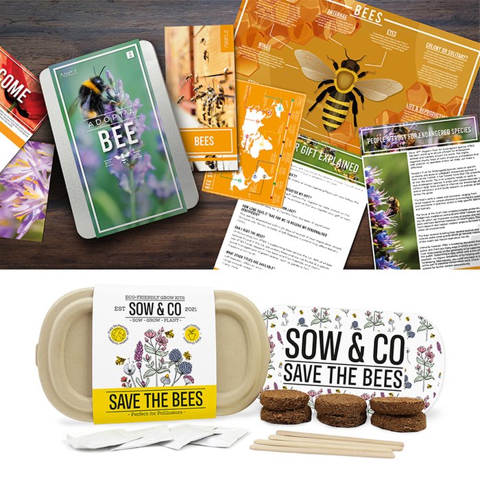 Save the Bees Sow & Co with Adopt a Bee