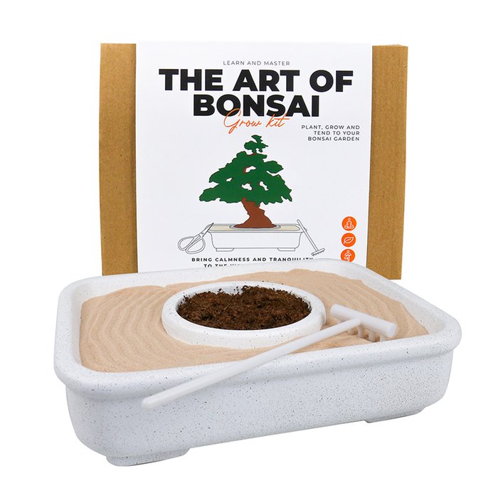 Grow Your Own Bonsai Tree