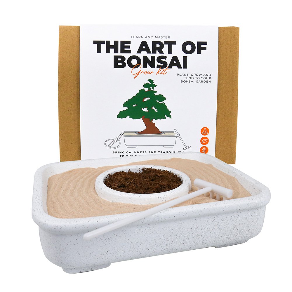 Grow Your Own Bonsai Tree