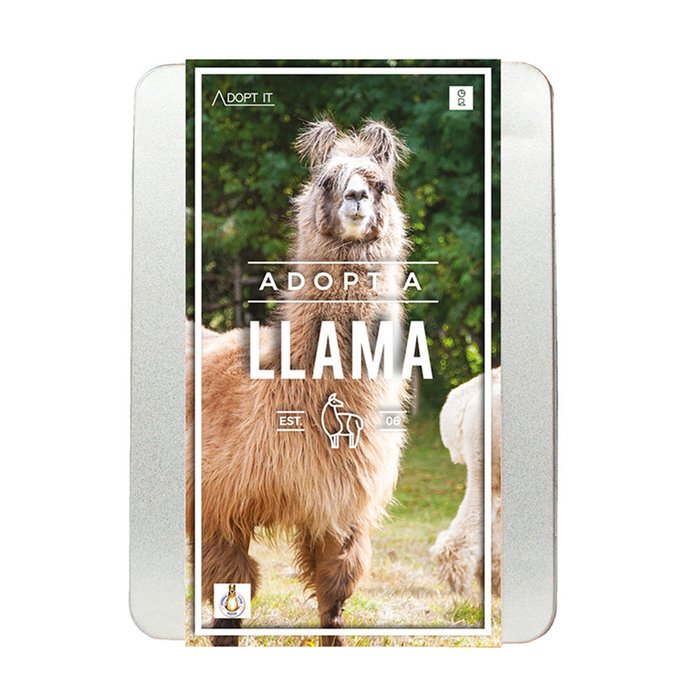 Adopt An Animal Llama Gift Set