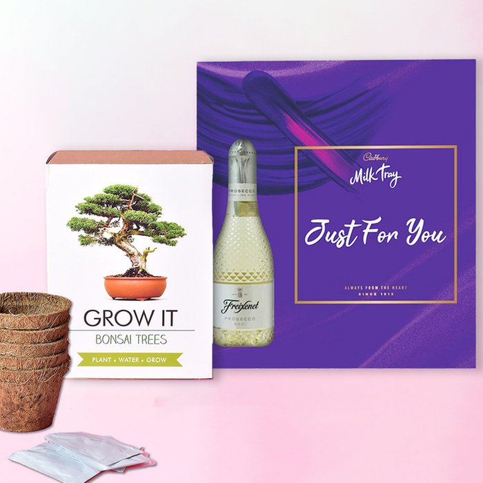 Cadbury Milk Tray & Grow Your Own Bonsai Gift Set