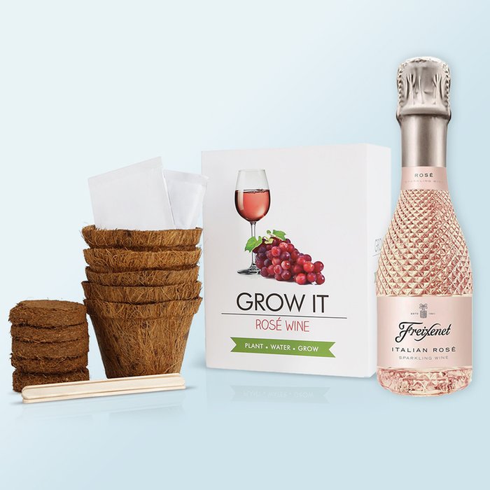 Freixenet Rose Mini & Grow Kit