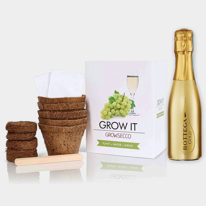 Bottega Prosecco Mini & Grow Kit