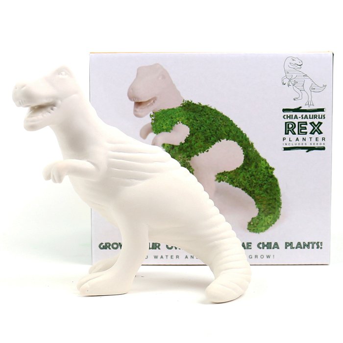 Grow Your Own Chia Saurus T-Rex Planter
