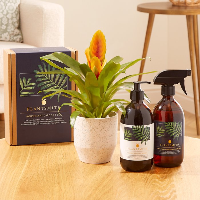 The Orange Vriesea Plant Care Gift Set