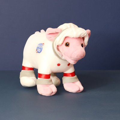 Moonpig 20cm Space Plush