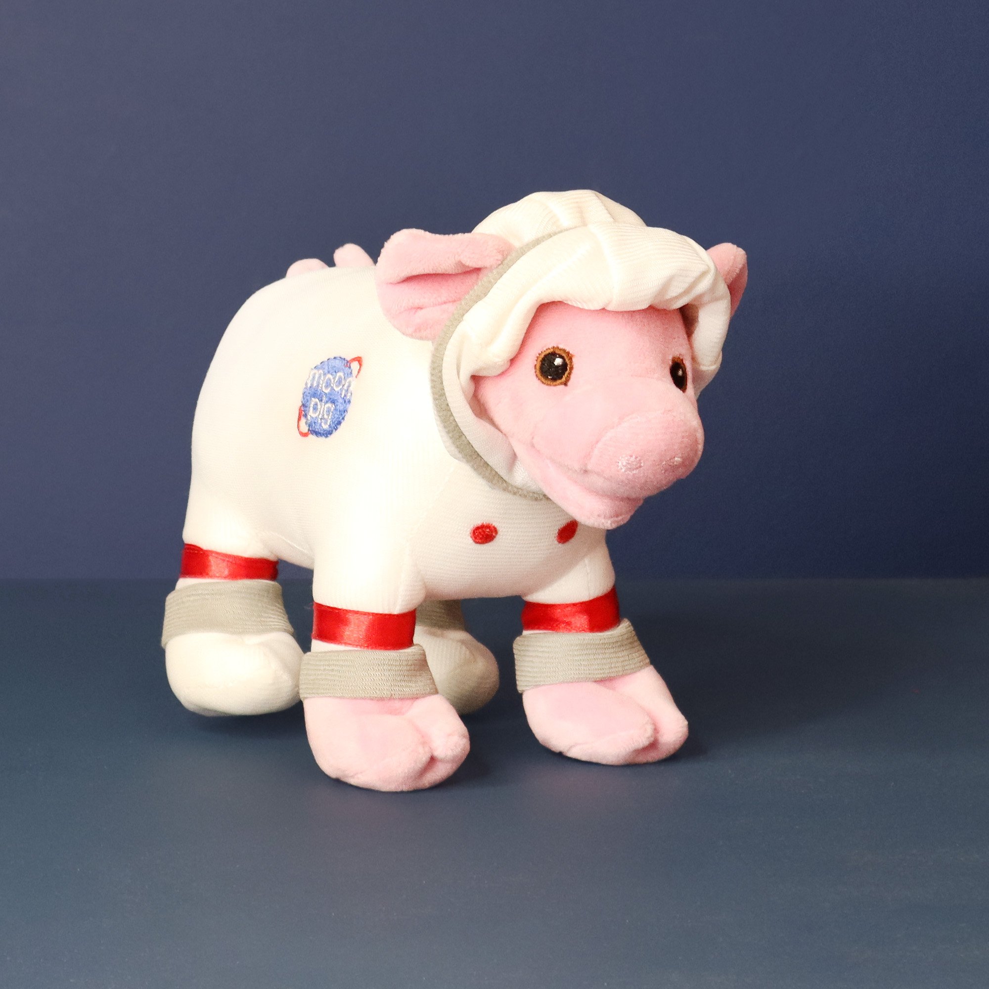 Space Moonpig Plush Soft Toy