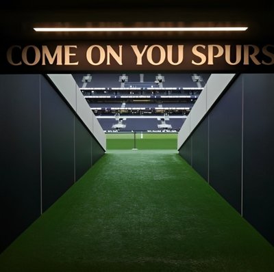 Tottenham Hotspur Stadium Tour with Souvenir Photo