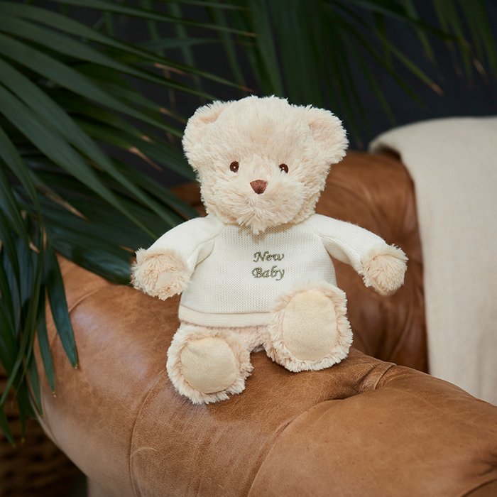 Warmies Heatable New Baby Teddy Bear Moonpig